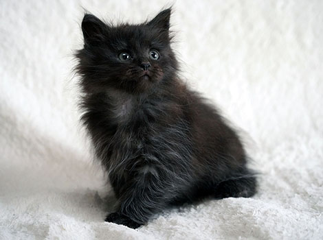 Penelope am 3. Mai 2025